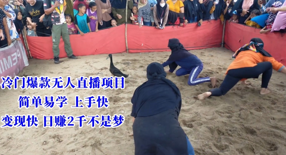 冷门爆款无人直播项目，简单易学上手快，变现快日赚2千不是梦插图