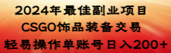 （8941期）2024年最佳副业项目 CSGO饰品装备交易 轻易操作单账号日入200+插图