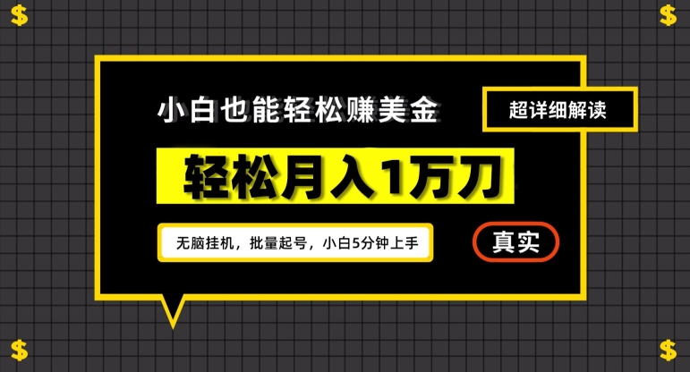 谷歌看广告撸美金2.0，无脑挂机，多号操作，月入1万刀插图1