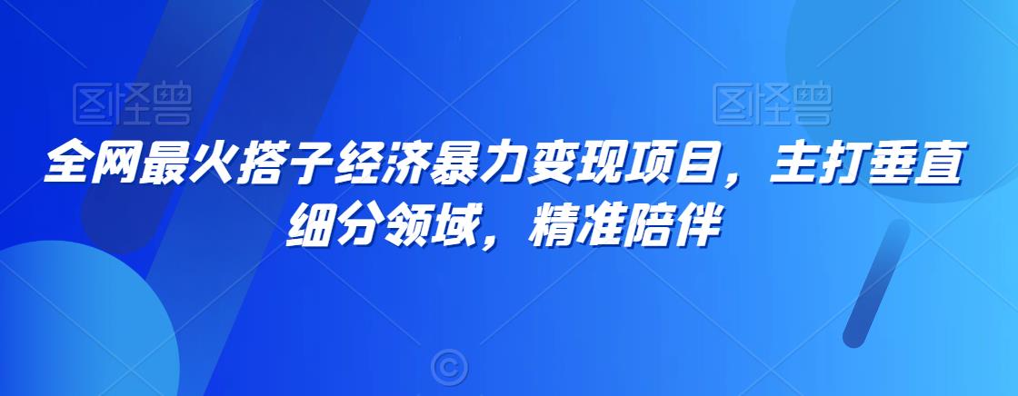 全网最火搭子经济暴力变现项目，主打垂直细分领域，精准陪伴插图