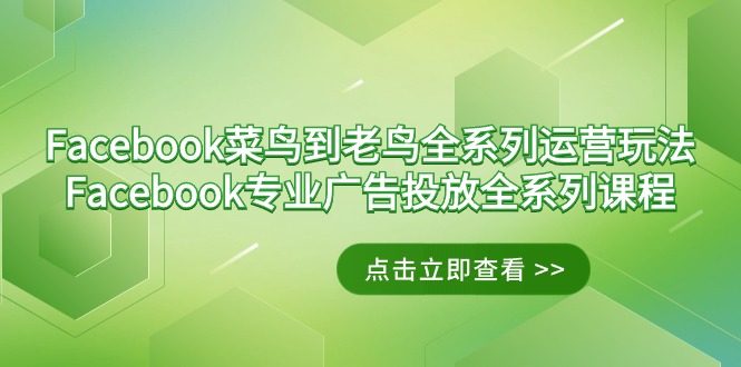 （9064期）Facebook-菜鸟到老鸟全系列运营玩法+Facebook-专业广告投放全系列课程插图