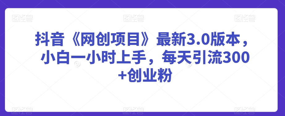 抖音《网创项目》最新3.0版本，小白一小时上手，每天引流300+创业粉插图