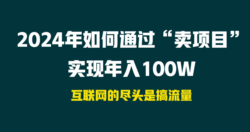 （9147期） 2024年如何通过“卖项目”实现年入100W插图