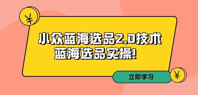 拼多多培训第33期：小众蓝海选品2.0技术-蓝海选品实操！插图