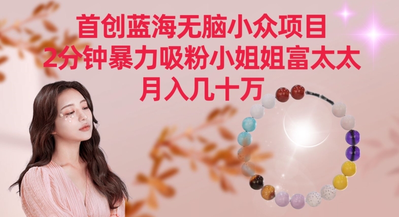 首创蓝海无脑小众项目，2分钟暴力吸粉小姐姐富太太，月入几十万插图