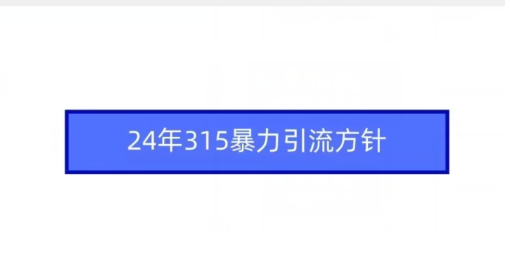 24年315暴力引流方针插图