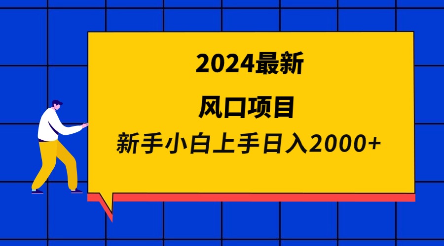 （9483期）2024最新风口项目 新手小白日入2000+插图
