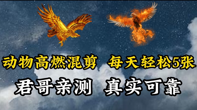 动物超燃混剪，每天轻松5张，剪辑简单大家爱看插图