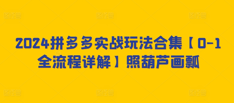 2024拼多多实战玩法合集【0-1全流程详解】照葫芦画瓢插图