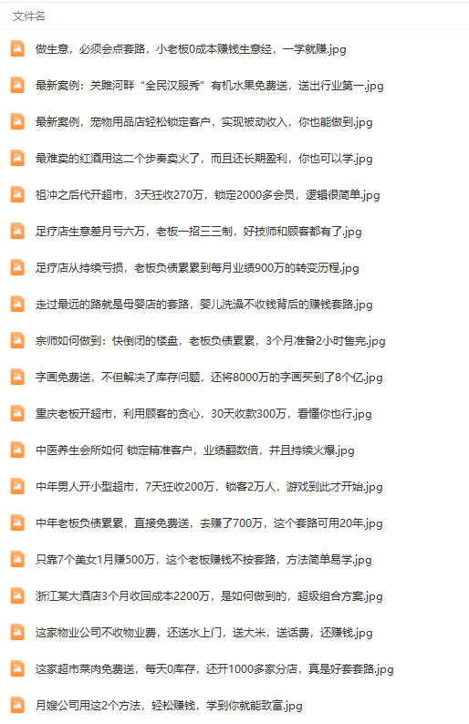 （9607期）真实有效391套商业模式，年入几十到几百万案例解析（电子书+视频+图文）插图4
