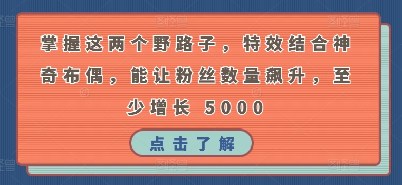 掌握这两个野路子，特效结合神奇布偶，能让粉丝数量飙升，至少增长 5000插图