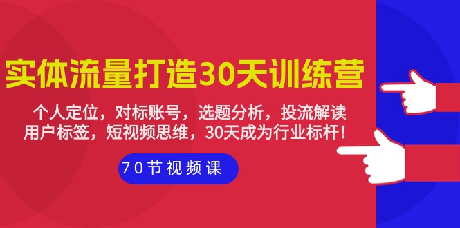 （9782期）实体-流量打造-30天训练营：个人定位，对标账号，选题分析，投流解读-70节插图