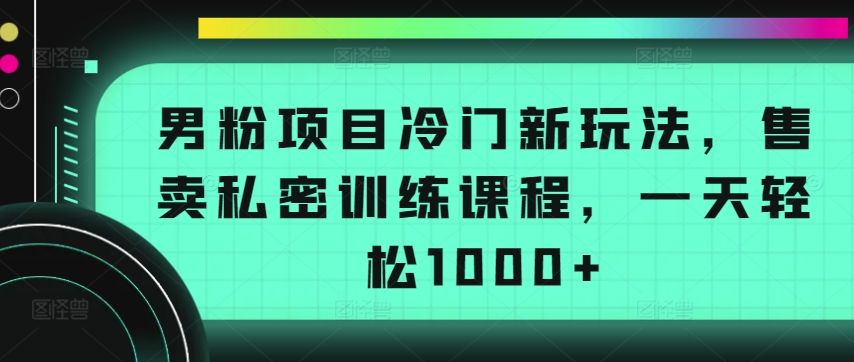 男粉项目冷门新玩法，售卖私密训练课程，一天轻松1000+插图