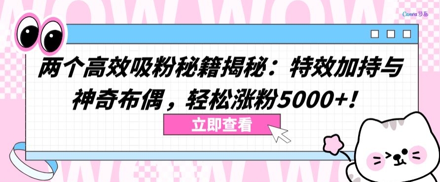 两个高效吸粉秘籍揭秘：特效加持与神奇布偶，轻松涨粉5000+插图