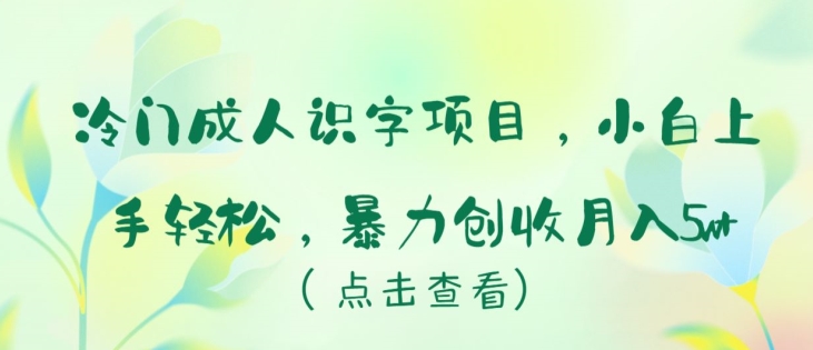 冷门成人识字项目，小白上手轻松，暴力创收月入5w+插图