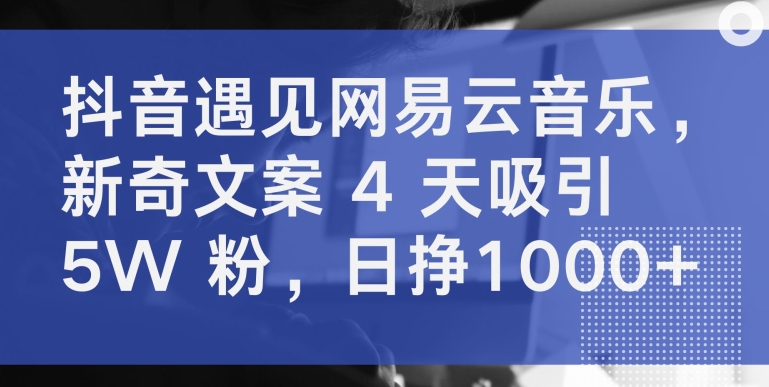 抖音遇见网易云音乐，新奇文案 4 天吸引 5W 粉，日挣1000+插图