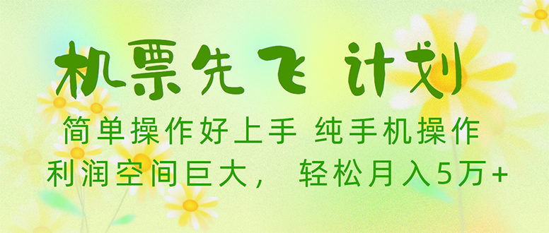 （10038期）机票先飞计划！里程积分兑换机票售卖赚差价，利润空间巨大，小白月入5万+插图