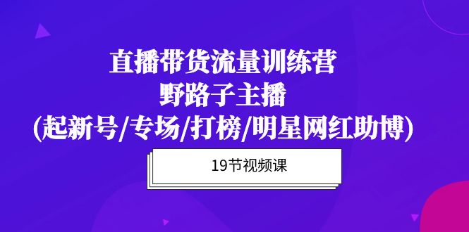 （10016期）直播带货流量特训营，野路子主播(起新号/专场/打榜/明星网红助博)19节课插图
