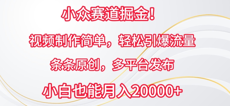 小众赛道掘金，视频制作简单，轻松引爆流量，条条原创，多平台发布插图