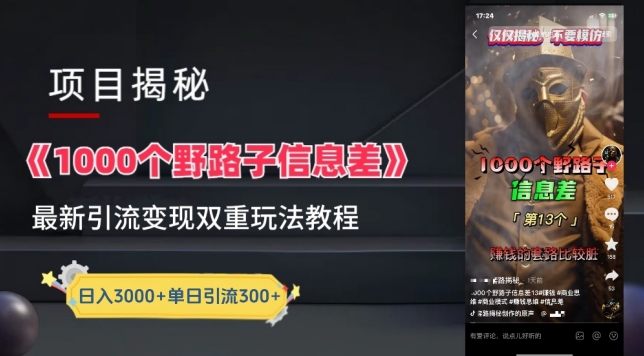 一千个野路子信息差最新玩法教程-变现+引流的玩法具体拆解插图