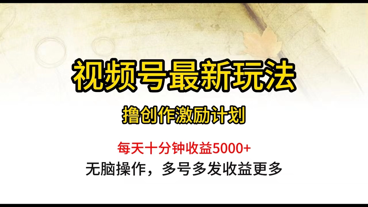 （10087期）视频号最新玩法，每日一小时月入5000+插图