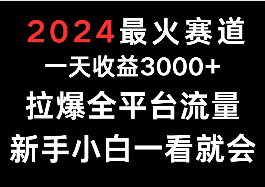 2024最火赛道，一天收一3000+.拉爆全平台流量，新手小白一看就会插图