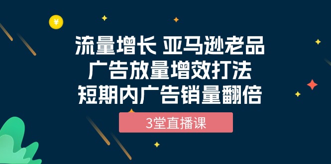 （10112期）流量增长 亚马逊老品广告放量增效打法，短期内广告销量翻倍（3堂直播课）插图