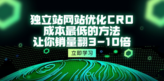 （10173期）独立站网站优化CRO，成本最低的方法，让你销量翻3-10倍（5节课）插图