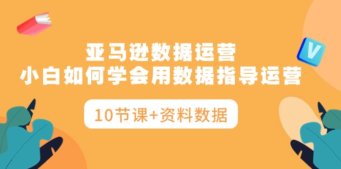（10158期）亚马逊数据运营，小白如何学会用数据指导运营（10节课+资料数据）插图