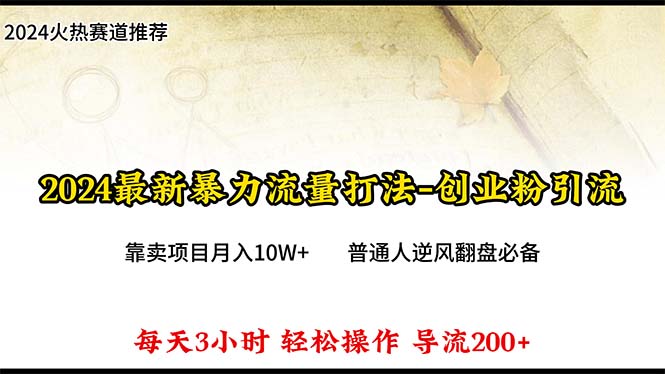 （10151期）2024年最新暴力流量打法，每日导入300+，靠卖项目月入10W+插图