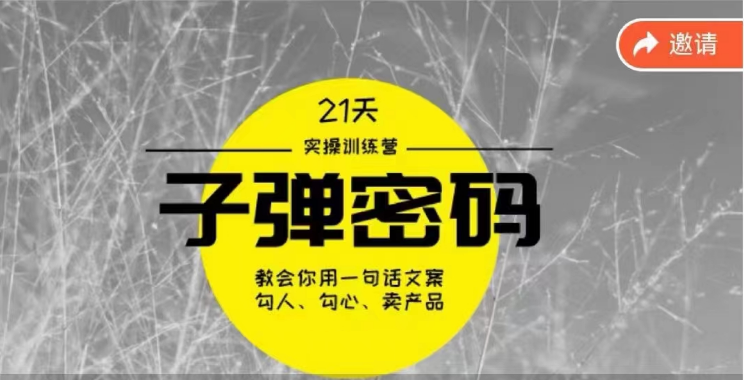 《子弹密码训练营》用一句话文案勾人勾心卖产品，21天学到顶尖文案大师策略和技巧插图
