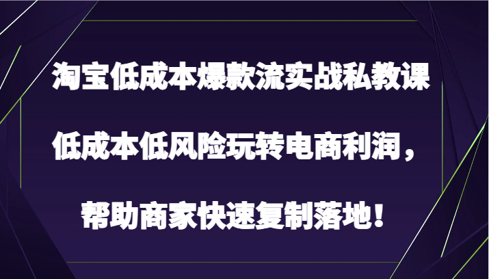 淘宝低成本爆款流实战私教课，低成本低风险玩转电商利润，帮助商家快速复制落地！插图