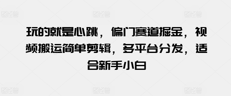 玩的就是心跳，偏门赛道掘金，视频搬运简单剪辑，多平台分发，适合新手小白插图