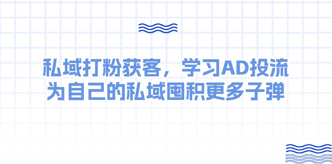 （10728期）某收费课：私域打粉获客，学习AD投流，为自己的私域囤积更多子弹插图