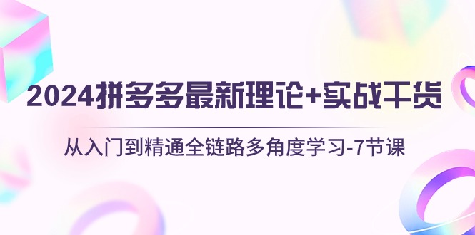 （10816期）2024拼多多 最新理论+实战干货，从入门到精通全链路多角度学习-7节课插图