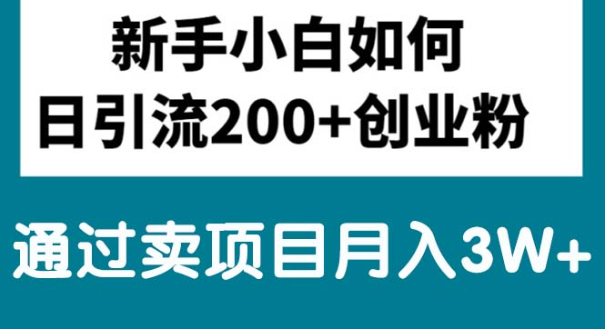 （10843期）新手小白日引流200+创业粉,通过卖项目月入3W+插图