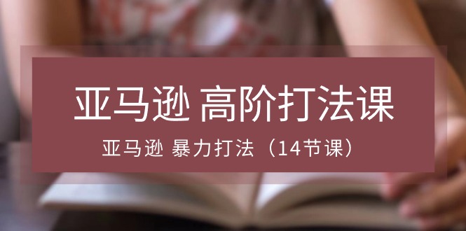 亚马逊高阶打法课，亚马逊暴力打法（14节视频课）插图