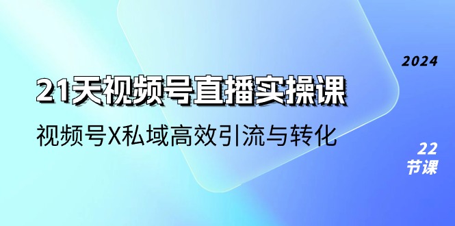 （10966期）21天-视频号直播实操课，视频号X私域高效引流与转化（22节课）插图