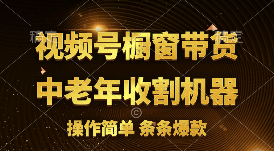 （11009期）视频号最火爆赛道，橱窗带货，流量分成计划，条…插图