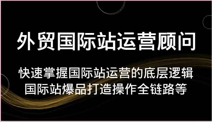 外贸国际站运营顾问-快速掌握国际站运营的底层逻辑，国际站爆品打造操作全链路等插图