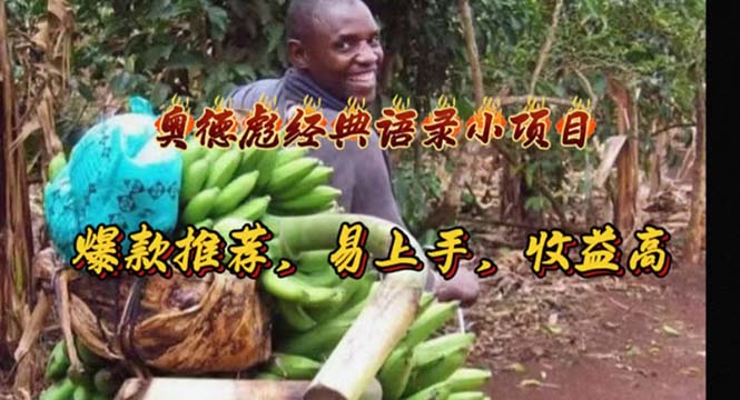 （11030期）奥德彪经典语录小项目，爆款推荐，易上手，收益高插图