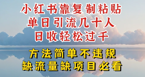 小红书靠复制粘贴单日引流几十人目收轻松过千，方法简单不违规插图