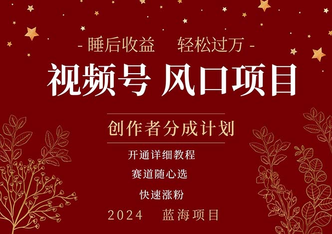 （11331期）拥有睡眠收益的微信视频号大风口项目，轻松月入过万+，多赛道选择，可…插图