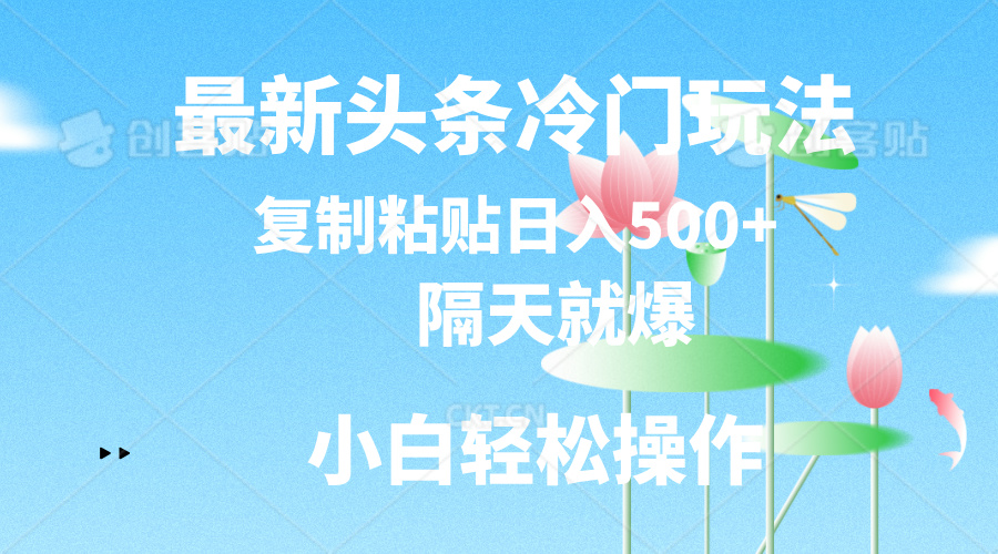 （11414期）最新头条冷门玩法，隔天就爆，复制粘贴日入500+插图
