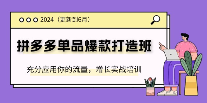 （11556期）2024拼多多-单品爆款打造班(更新6月)，充分应用你的流量，增长实战培训插图