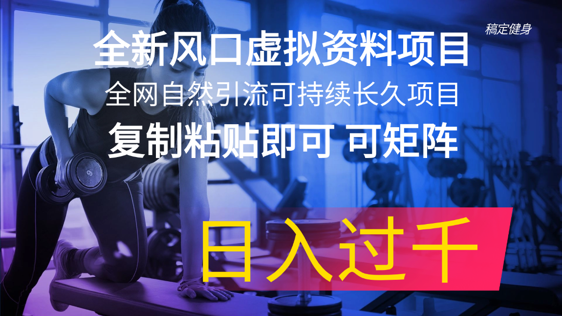 （11587期）全新风口虚拟资料项目 全网自然引流可持续长久项目 复制粘贴即可可矩阵…插图