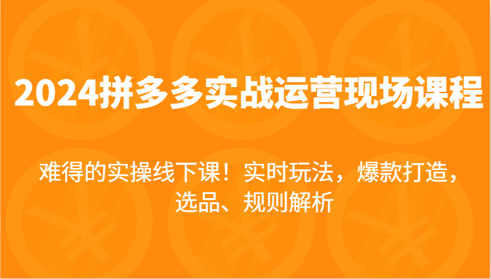 2024拼多多实战运营现场课，实时玩法，爆款打造，选品、规则解析，难得的实操线下课！插图