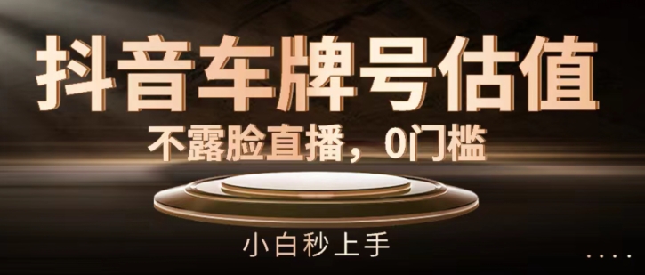 抖音车牌号估值，不露脸直播，0门槛，小白秒上手插图
