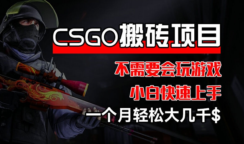 CSGO 装备搬砖项目，操作简单，不需要会玩游戏，小白也能快速上手，一个月轻松大几千插图