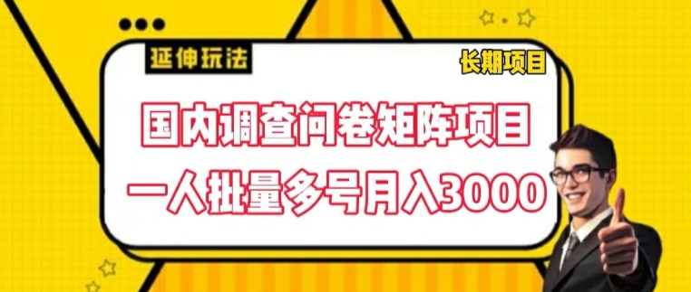 国内调查问卷矩阵项目，一人批量多号月入3000插图